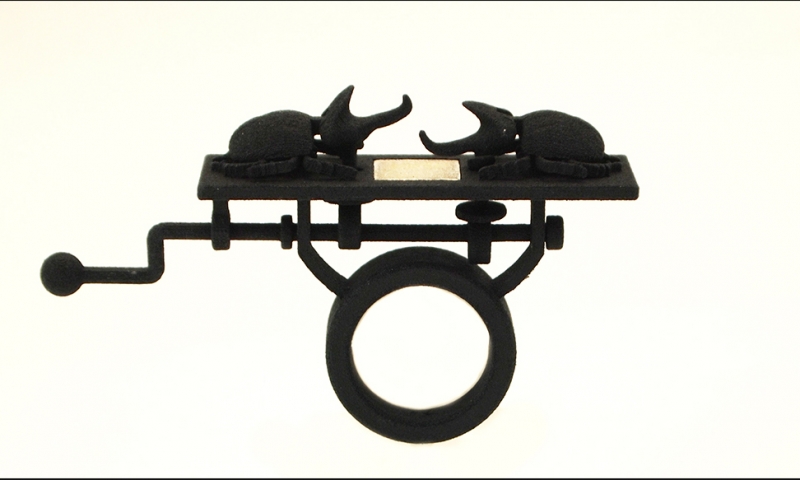 FriedmanY_Ring_AutomataScarbaeus_A.jpg