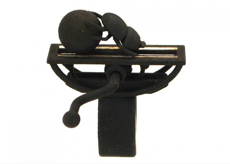 FriedmanY_Ring_AutomataScarbaeus_C.jpg