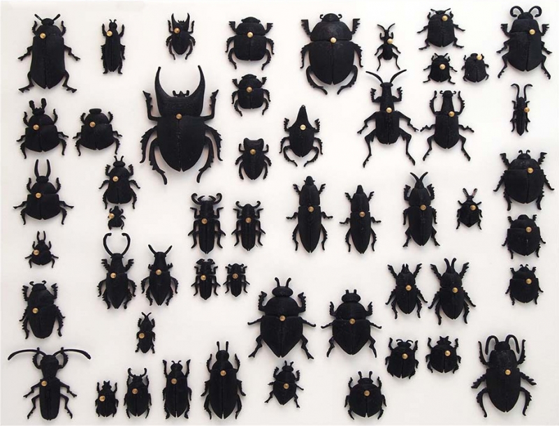 FriedmanY_Scarabeus.jpg