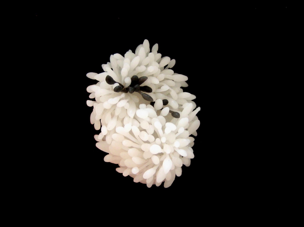 SaitoY_UntitledB_Ring1.jpg SaitoY_UntitledB_Ring1.jpg